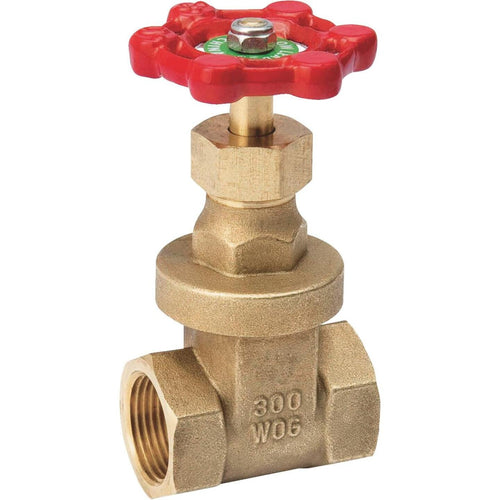 ProLine 1-1/2 In. FIPS x 1-1/2 In. FIPS Forged Brass Gate Valve