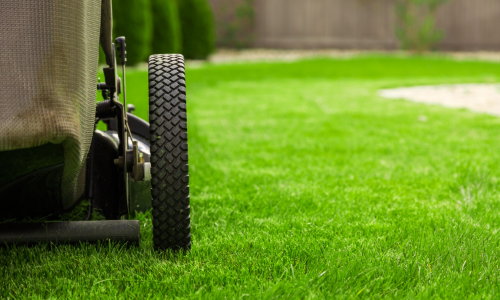 Push mower cutting the grass