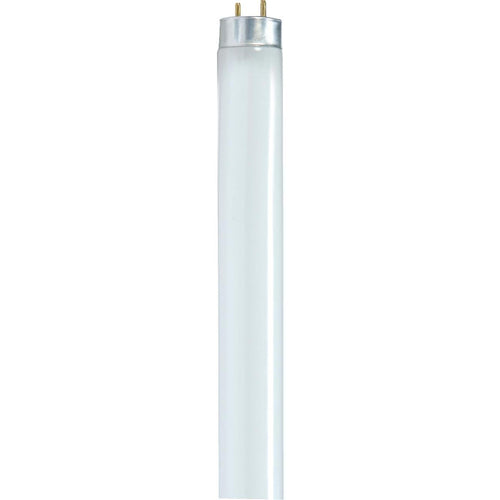 Satco 32W 47.8 In. Warm White T8 Medium Bi-Pin Fluorescent Tube Light Bulb